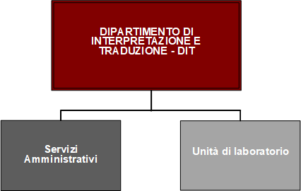 Organigramma del DIT